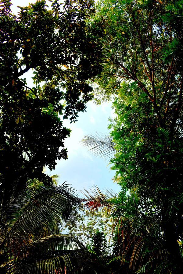 Villa Tulip Garden Anuradhapura Exterior photo