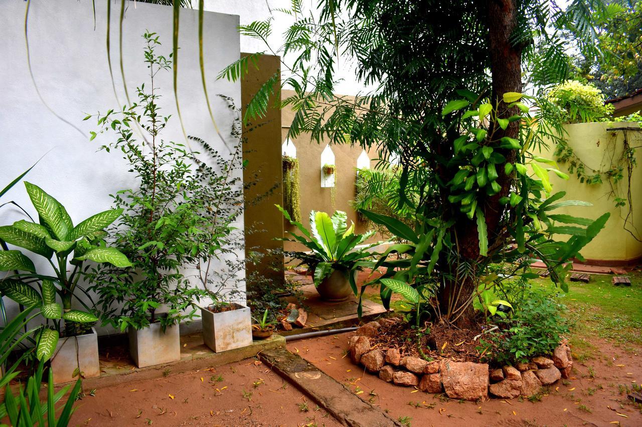 Villa Tulip Garden Anuradhapura Exterior photo